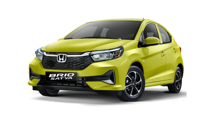 BRIO NEW